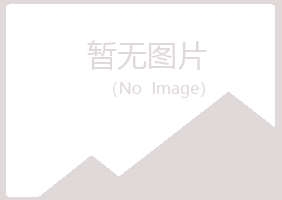 陇南夏岚金属有限公司